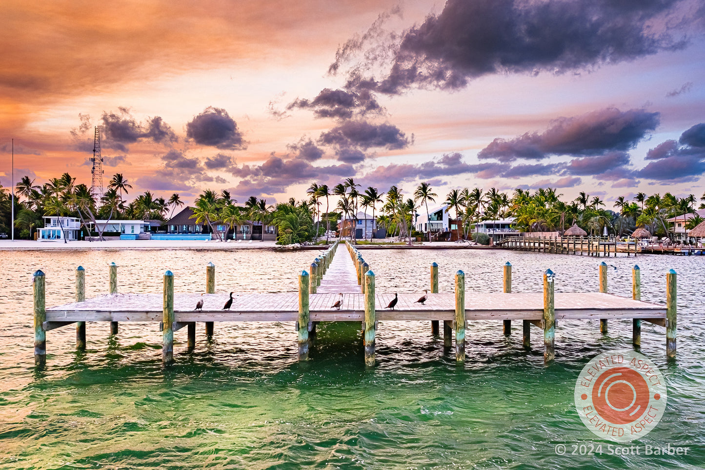 Birds on Keys Pier