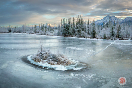 Frozen Alaska Pond