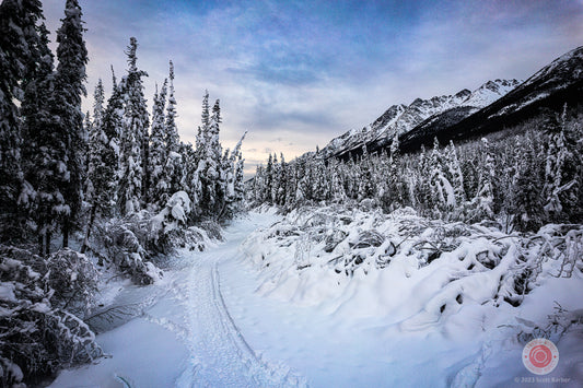 Snowy Path in Eagle River